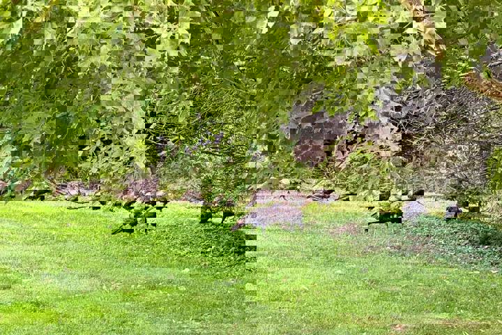 Home in Margaretville, US