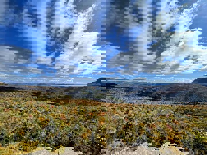 Home in Margaretville, US