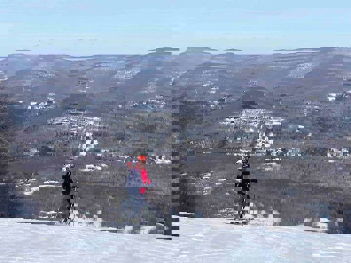 Home in Margaretville, US