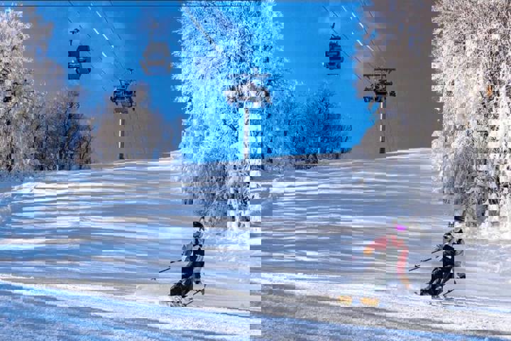 Home in Margaretville, US