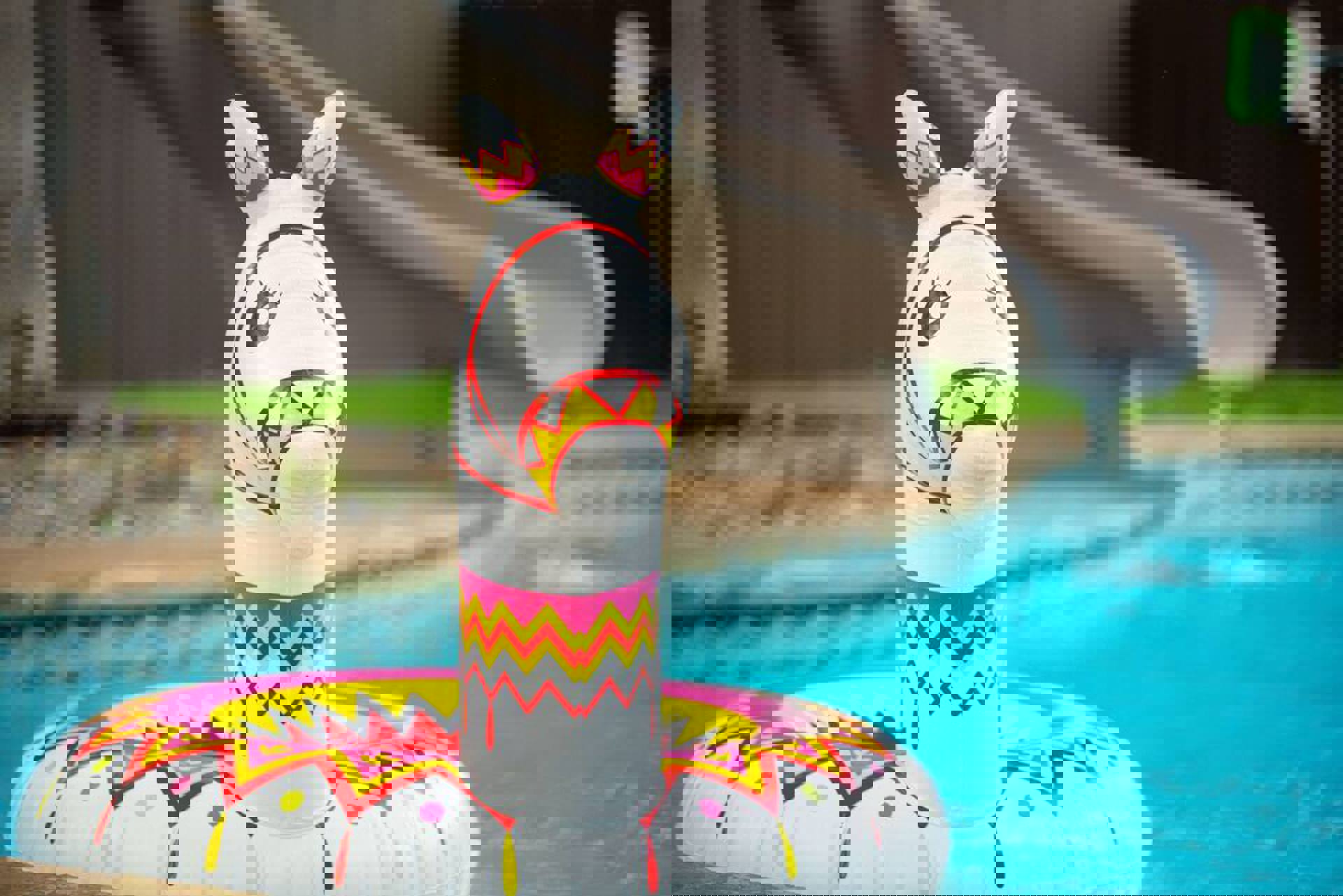 Image 29