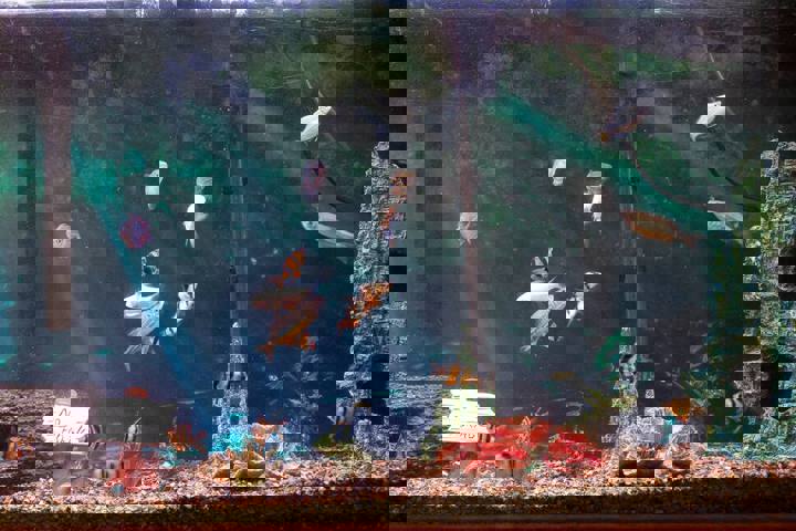 Rental unit in Chicago, US