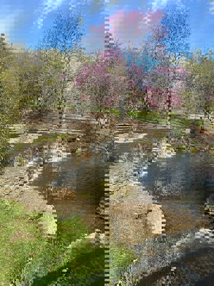 Home in Columbus, US