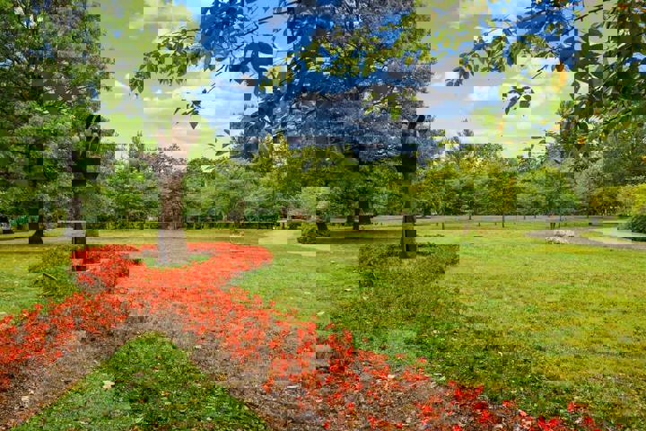 Home in Columbus, US