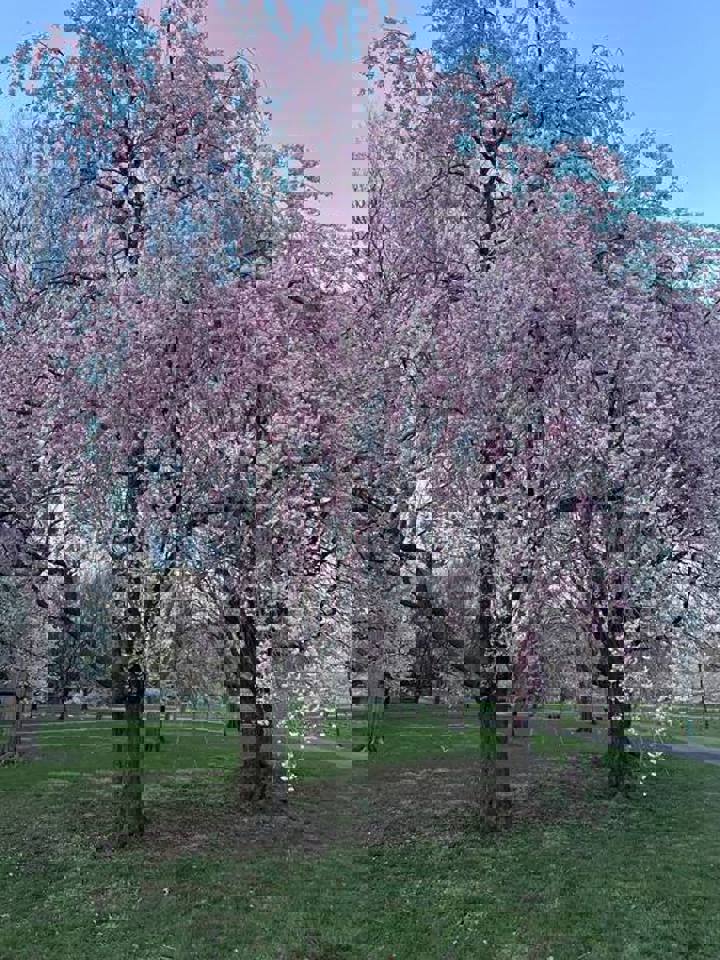 Home in Columbus, US