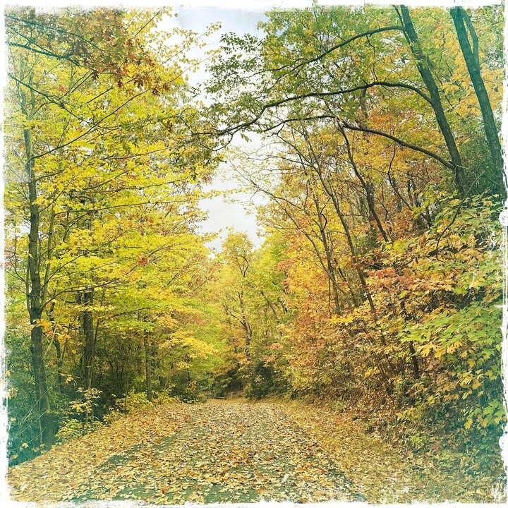 Home in Black Mountain, US