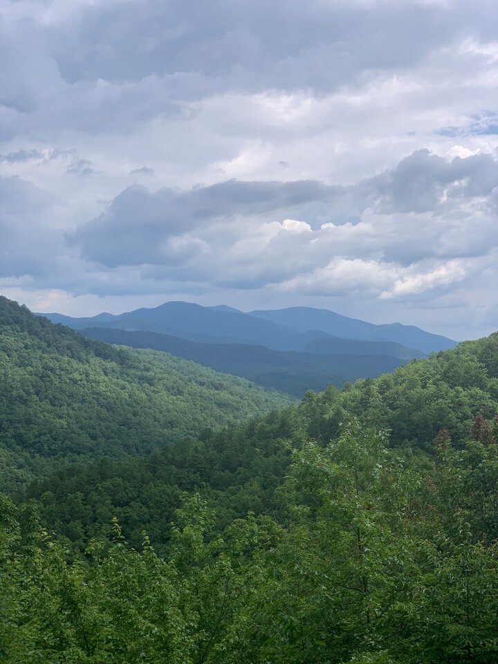 Home in Black Mountain, US