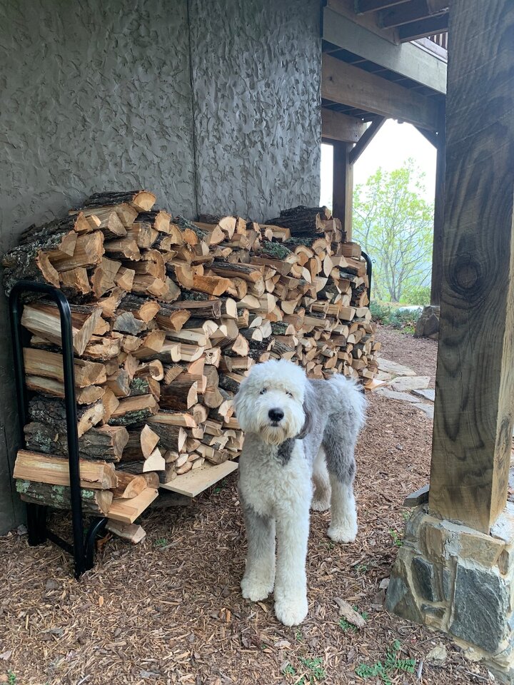 Home in Black Mountain, US