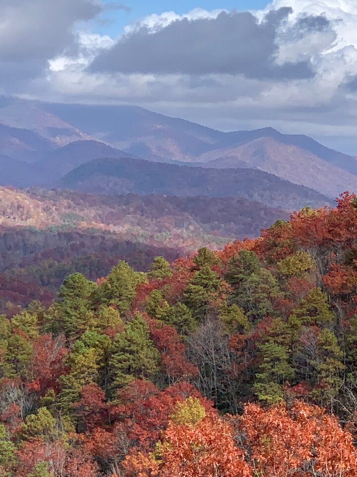 Home in Black Mountain, US