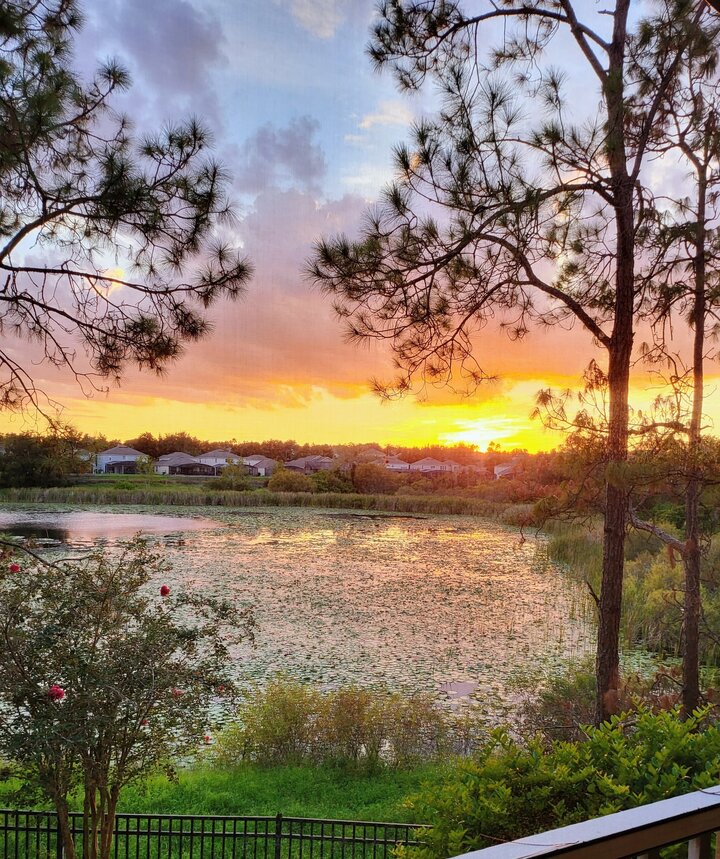 Condo in Kissimmee, US