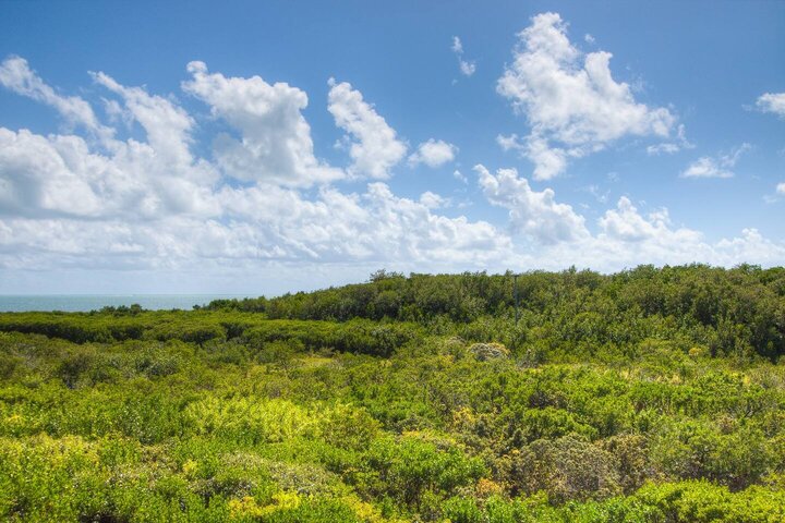 Condo in Tavernier, US