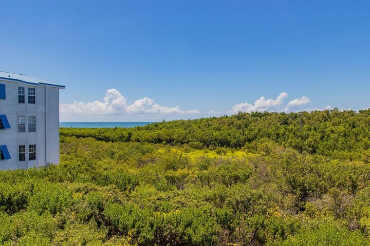 Condo in Tavernier, US