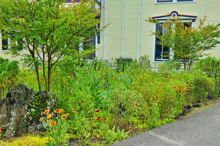 House in Clifton Forge, US