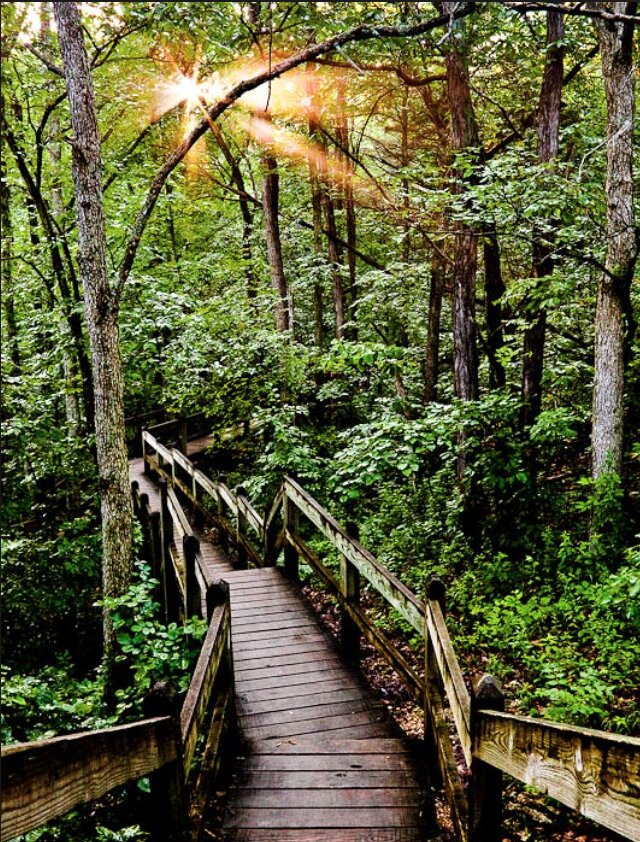 Townhome in Columbia, US