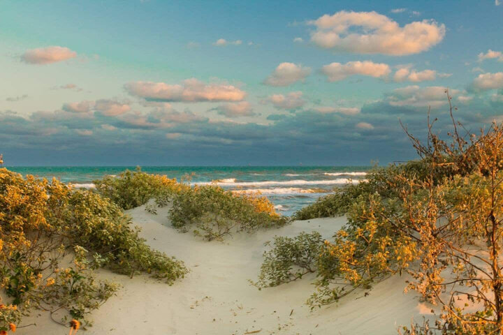 House in Corpus Christi, US