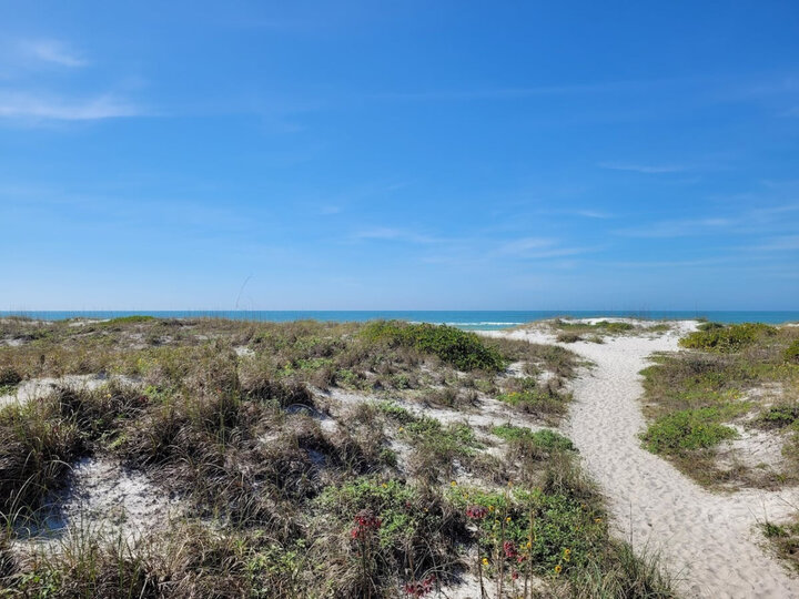 Apartment in Clearwater, US