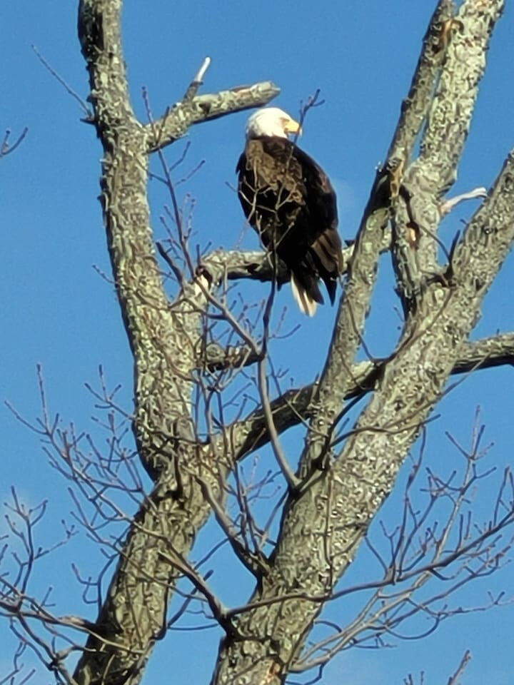 House in Glen Burnie, US