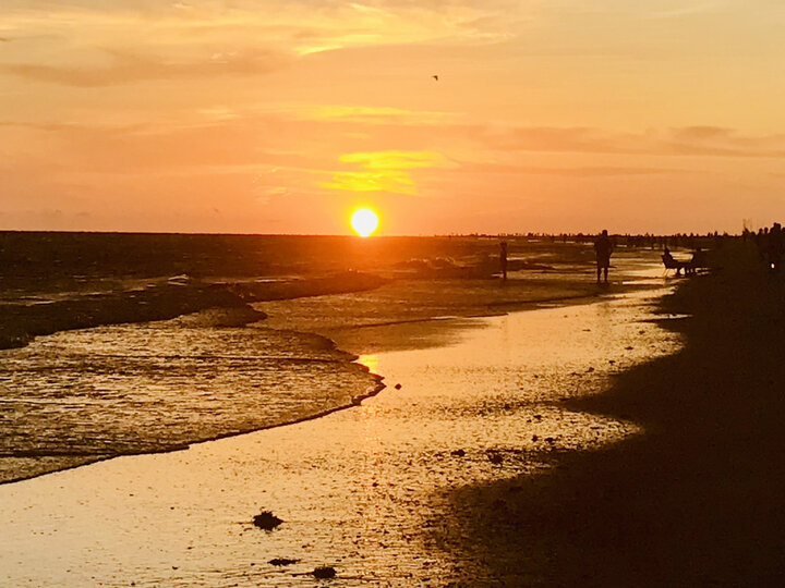 Tiny House in Siesta Key, US