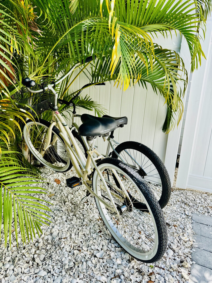 Tiny House in Siesta Key, US