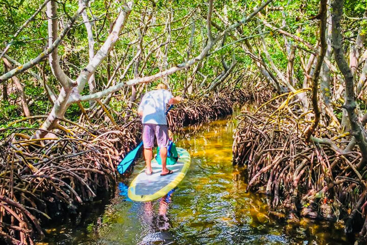 House in Sarasota, US