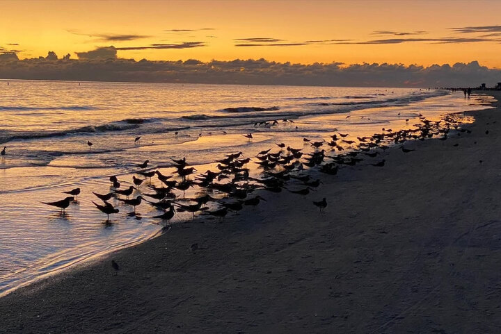 Apartment in Sarasota, US