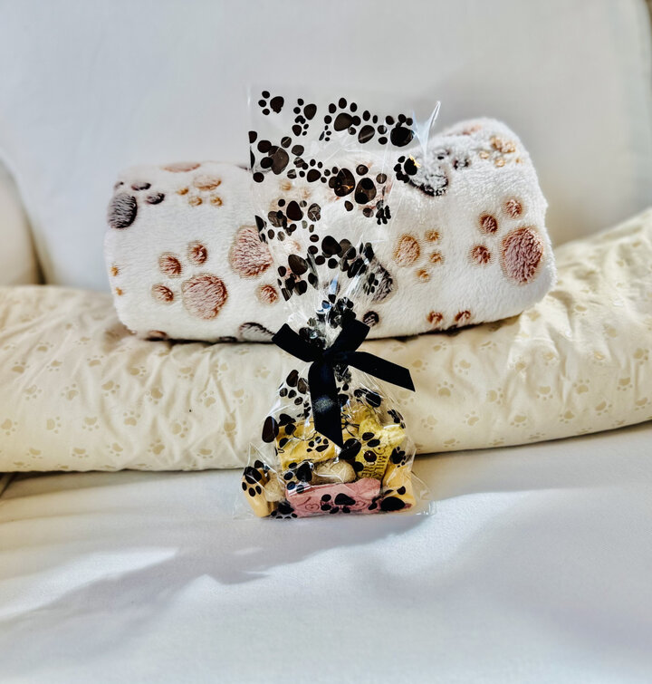 Apartment in Sarasota, US