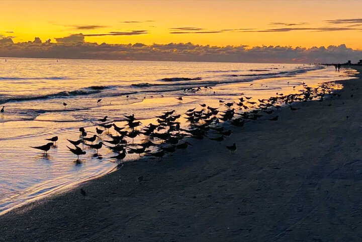 Apartment in Sarasota, US
