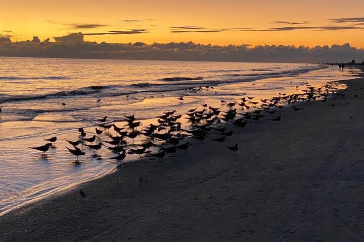 House in Sarasota, US