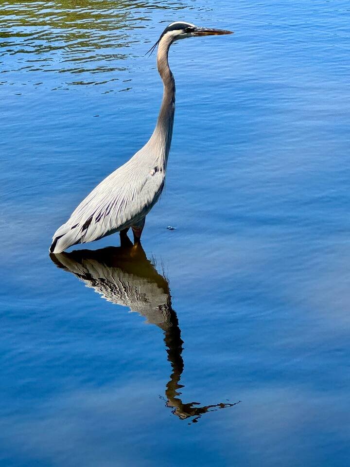 Rental unit in Saint Petersburg, US