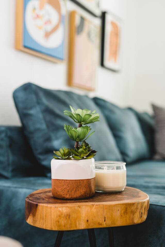 Rental unit in St. Petersburg, US