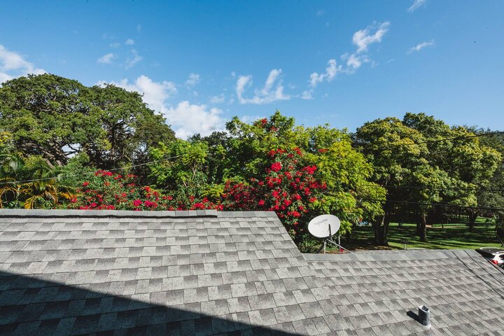 Rental unit in St. Petersburg, US