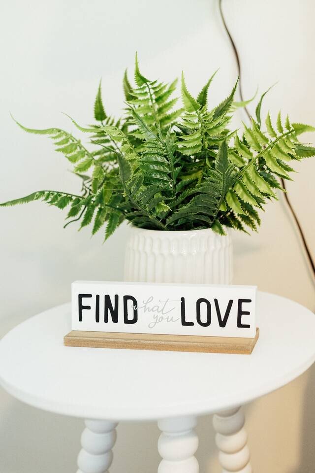 Rental unit in St. Petersburg, US