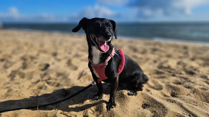 Townhome in Norfolk, US