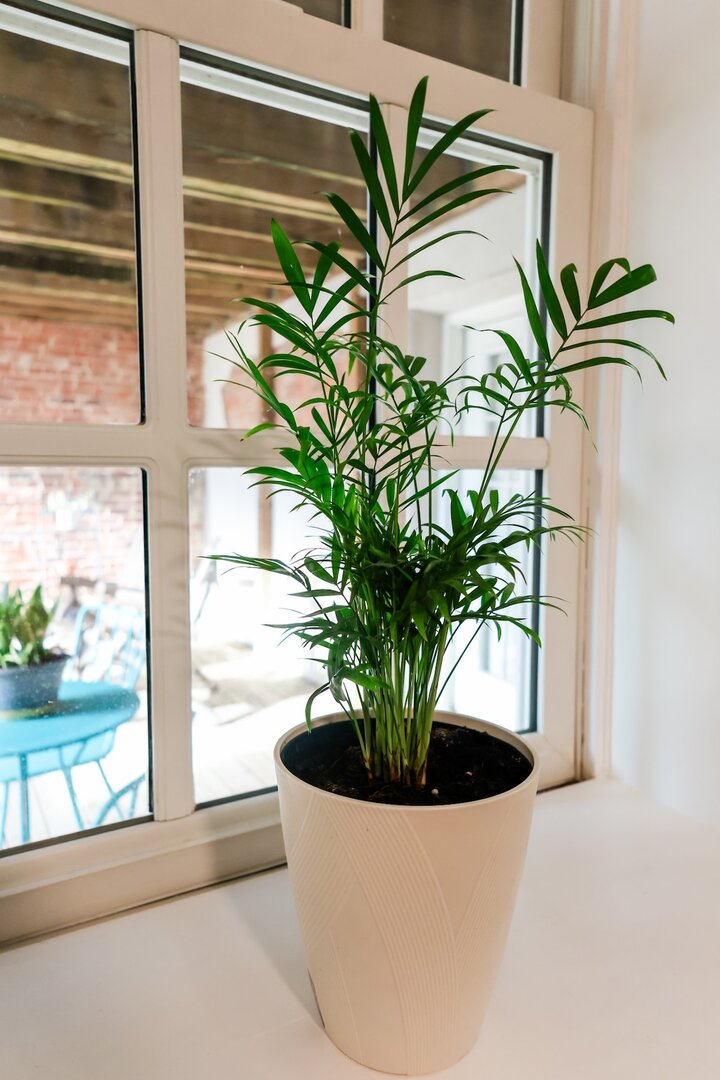 Rental unit in Columbia, US