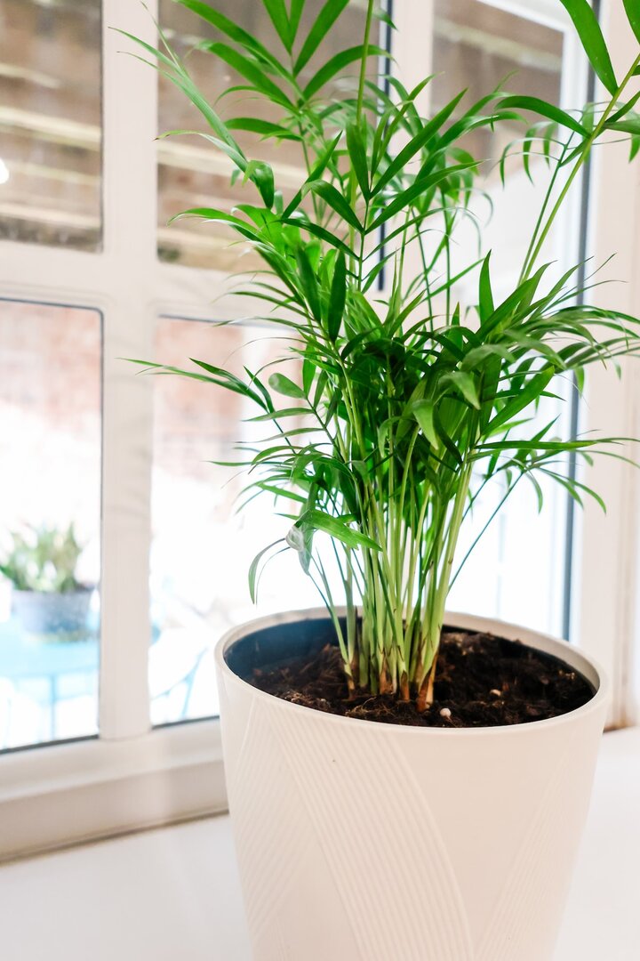 Rental unit in Columbia, US