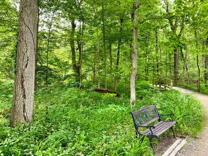 Rental unit in Vandalia, US