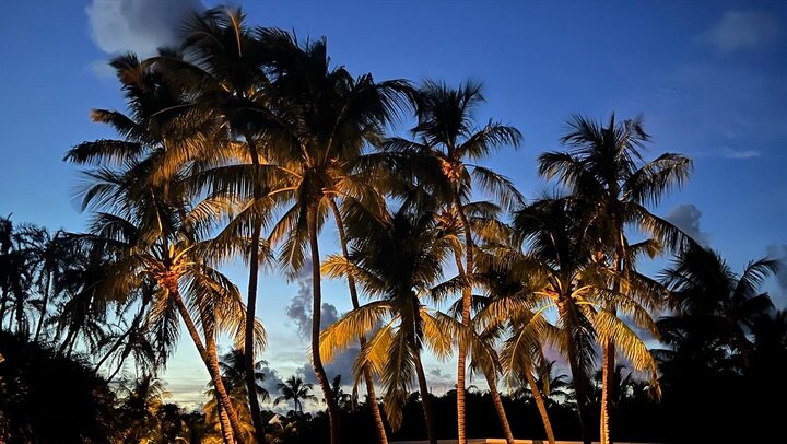 House in Islamorada, US