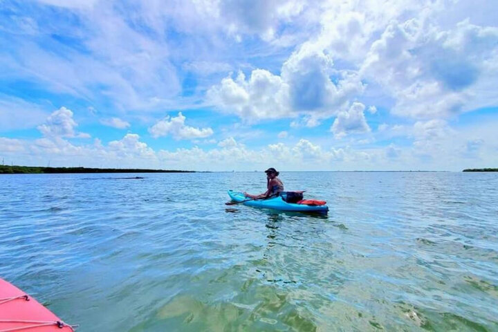 Condominium in St. Petersburg, US