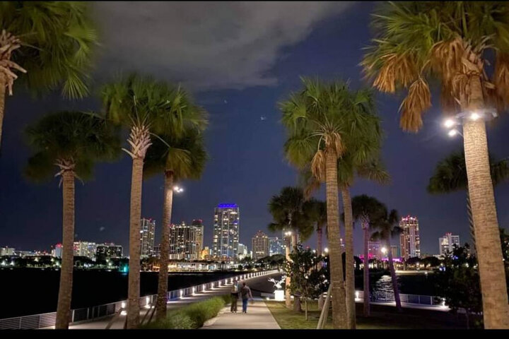 Condominium in St. Petersburg, US