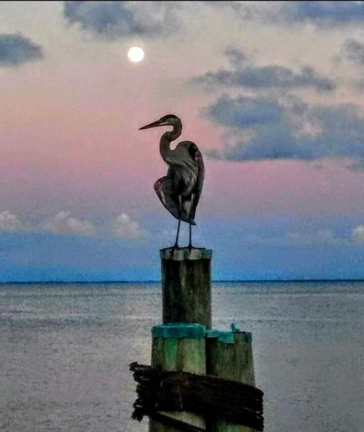 Condominium in St. Petersburg, US