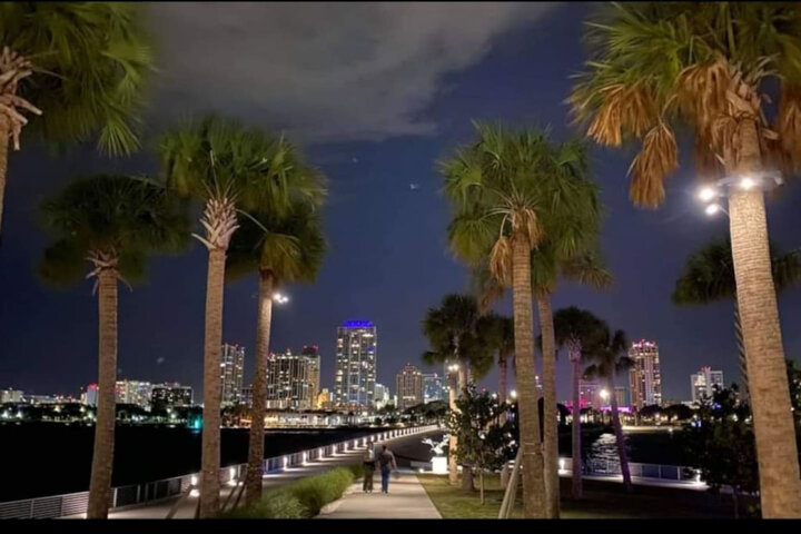 Condominium in St. Petersburg, US