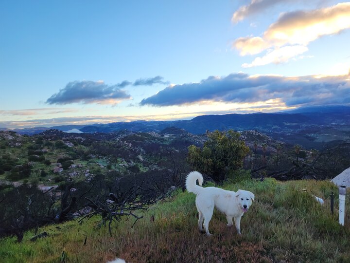 Campground in Fallbrook, US