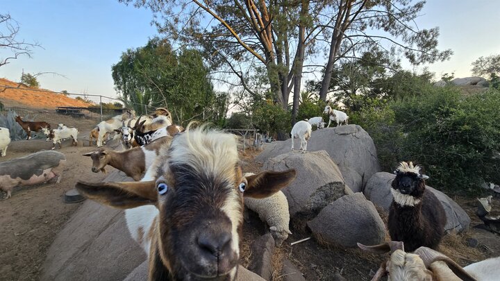 Campground in Fallbrook, US