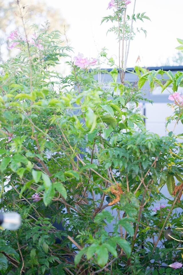 Home in San Diego, US