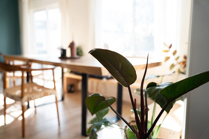 Home in San Diego, US