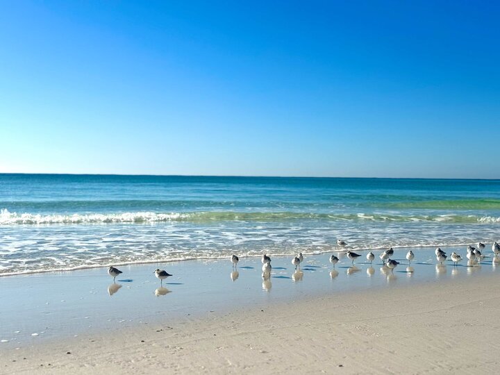 Condominium in Destin, US