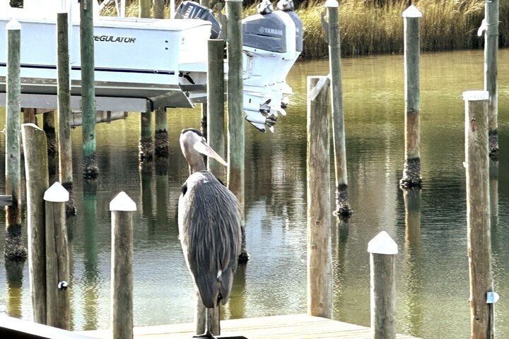 Condominium in Destin, US