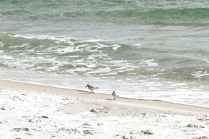 Condominium in Destin, US