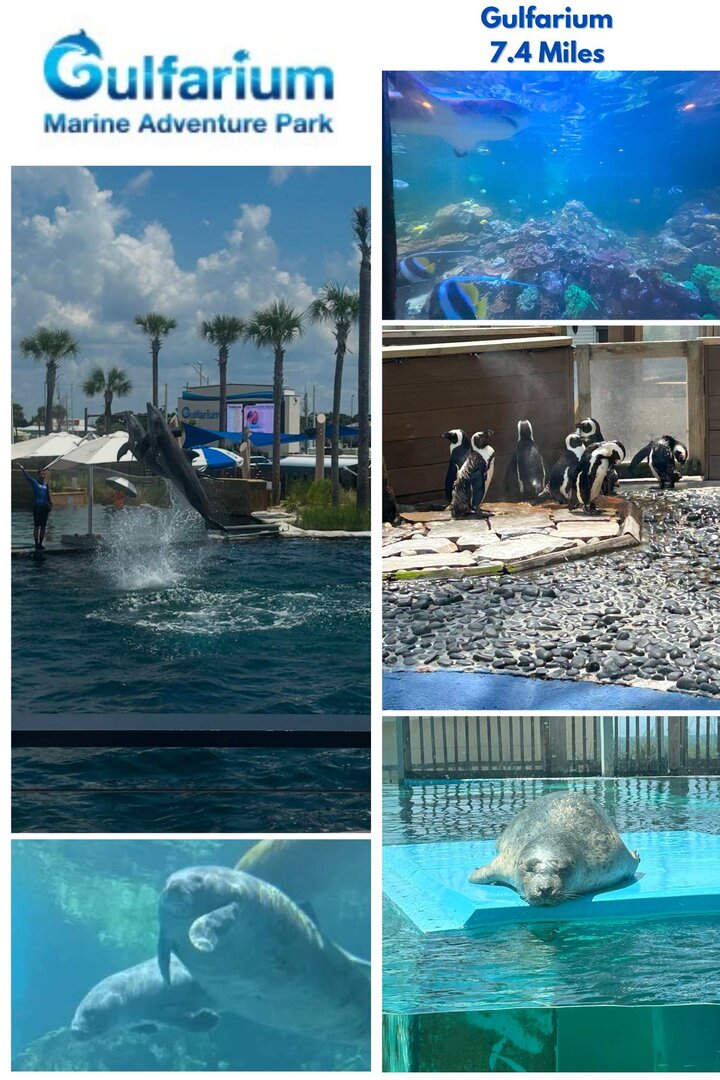 Condominium in Destin, US