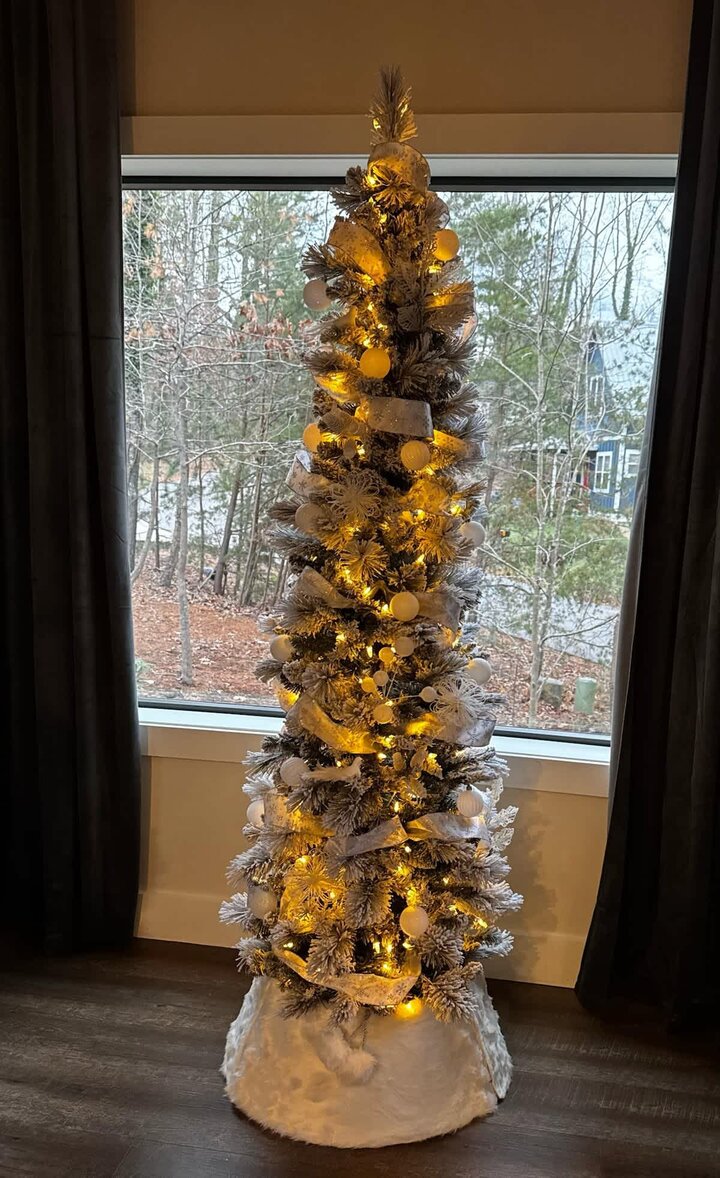 House in Asheville, US